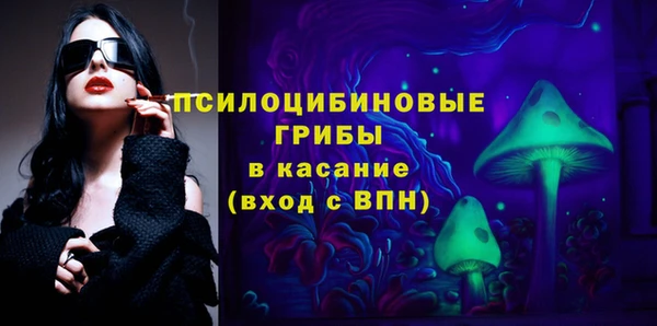 стаф Абаза