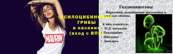 стаф Абаза